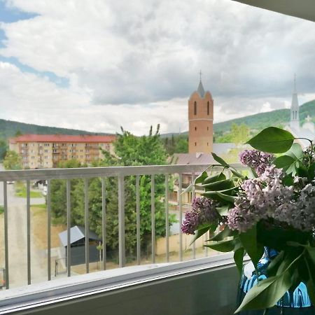 Apartament Gromadzyn 39 Ustrzyki Dolne Extérieur photo