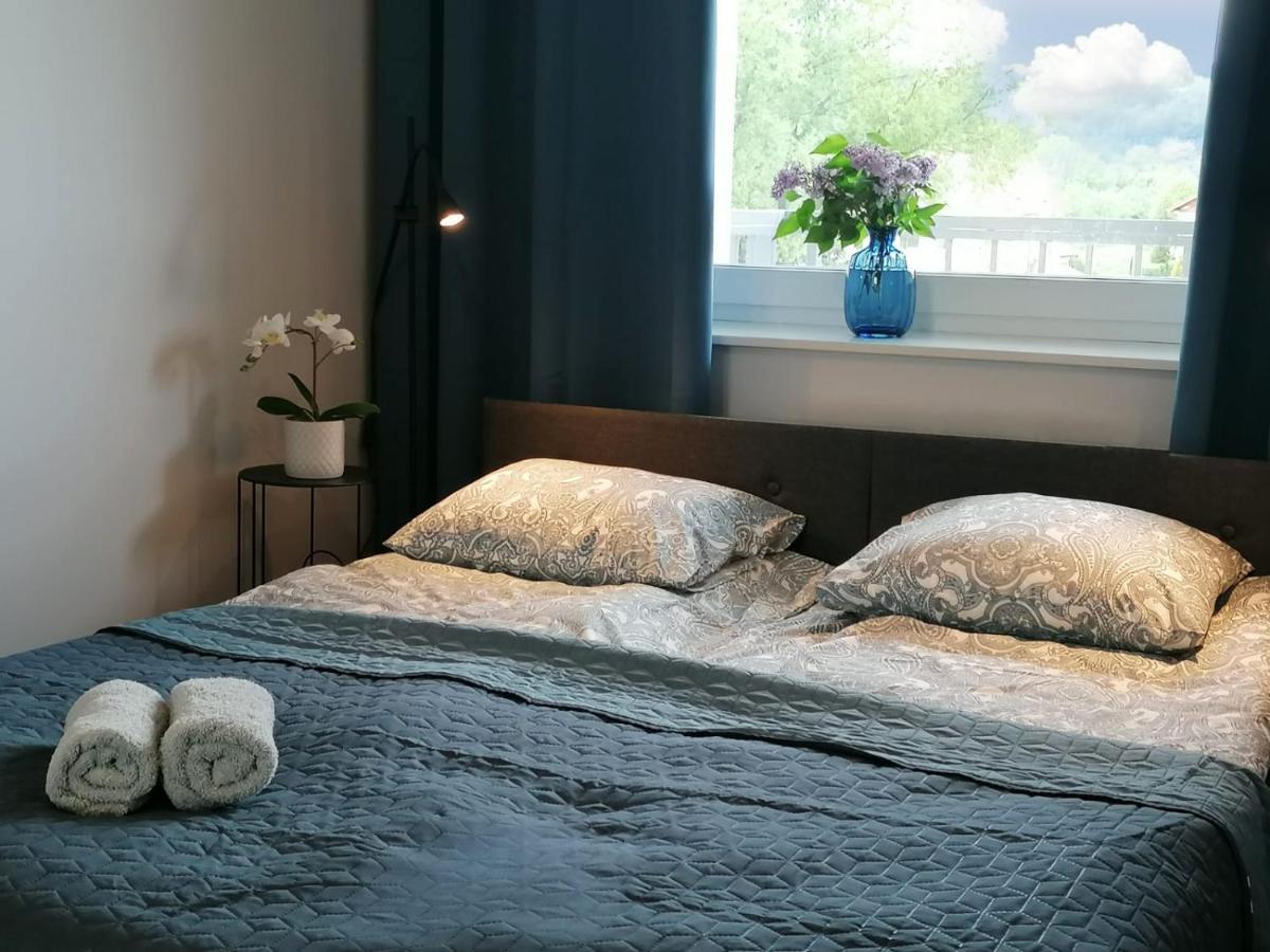 Apartament Gromadzyn 39 Ustrzyki Dolne Extérieur photo
