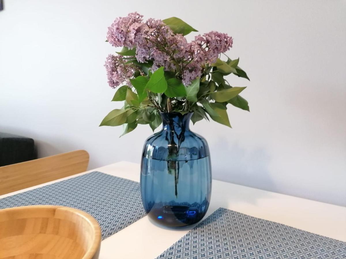 Apartament Gromadzyn 39 Ustrzyki Dolne Extérieur photo